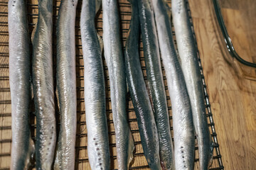 European river lamprey prepared for grill. Latvian national food