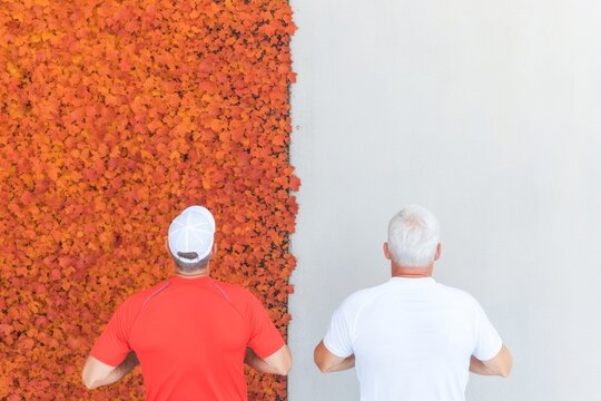 Autumn Athletics Rear View of Runners Amidst Vibrant Foliage