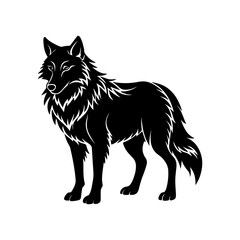 wolf silhouette, black and white silhouette, vector and illustration