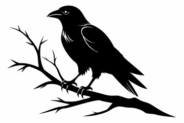 crow setting on a branch line art silhouette vector illustration