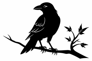Fototapeta premium crow setting on a branch line art silhouette vector illustration