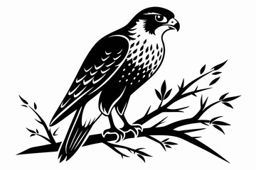 falcon on the tree branch line art silhouette vector illustration