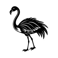 flamingo silhouette, black and white silhouette, vector and illustration