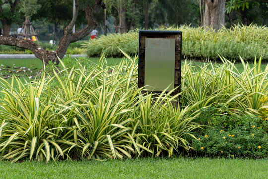 Lush green park with ornamental grass and blank information board