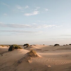 sand dunes in the desert