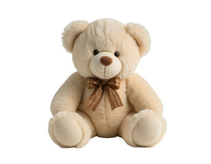 teddy bear isolated on white