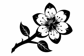 cherry blossom flower line art silhouette vector illustration