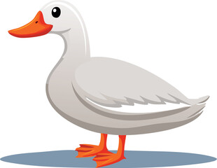 Obraz premium duck on white