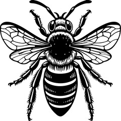 an image of a bee pattern vector design with a white background 