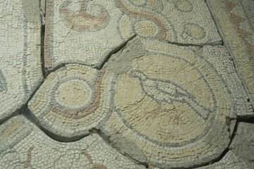 Floor mosaics from Byzantine times VI AD. They depicting walking birds, geometric ornaments and stylized fruits. Authors are unknown