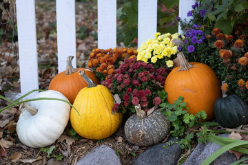 pumpkins and gourds with fence