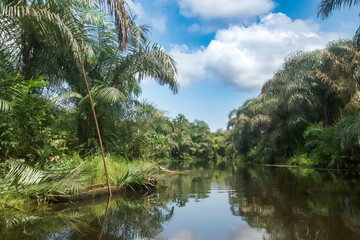 Beautiful view of the Black River