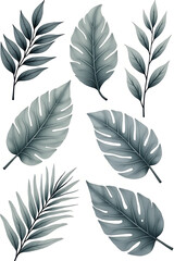 Fototapeta premium Tropical foliage collection showcases elegant style with a mix of silver and white colors._00001_