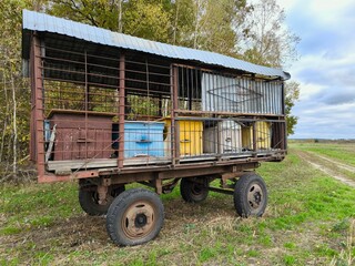 Beautiful colored wooden beehives on wheels on meadow next to the forest on sunset. Colorful moving beehive (apiary). old farm wagon