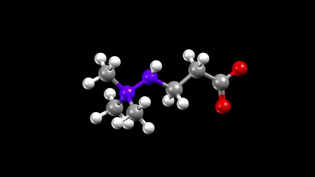 Structure of heart drug and doping meldonium. Animated 3D ball-and-stick and space-filled models, black background