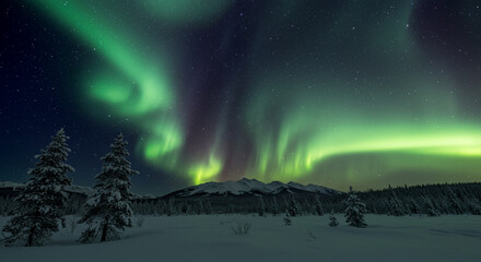 A Frozen World Beneath the Northern Lights