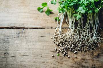 Naklejka premium Sprouted seeds on a wooden surface, detailed texture of roots and tiny leaves