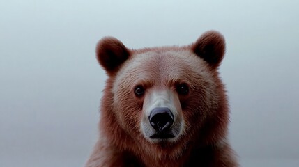 Majestic Bear Roaming in Cinematic Wilderness Landscape