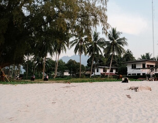 A tranquil and serene beach scene showcasing gently swaying palm trees amid peaceful and relaxing surroundings