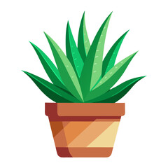 Potted aloe vera plant with vibrant green leaves against a clean white background