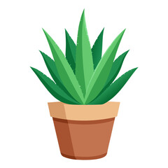 Vibrant aloe vera plant in a terra cotta pot against a clean white background