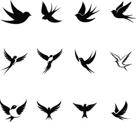 Swallow birds vector illustration. Wings and flying birds.