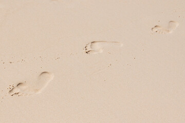 Footprints In The White Sand