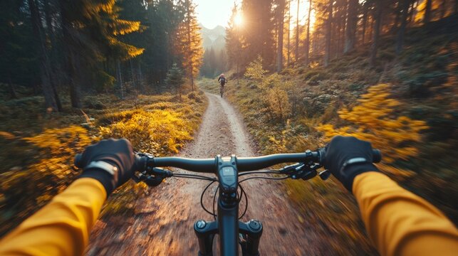 Cyclist riding mountain bike on forest trail at sunset