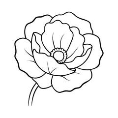 A black and white line drawing of a poppy flower, showcasing its delicate petals and central stamen