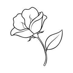 Black and white outline of a sweet pea flower