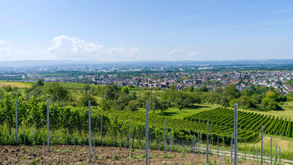 Landschaften des Dreiländerecks, der Rheinebene, Basel, Weil am Rhein bis Haltingen vom Weinberg...