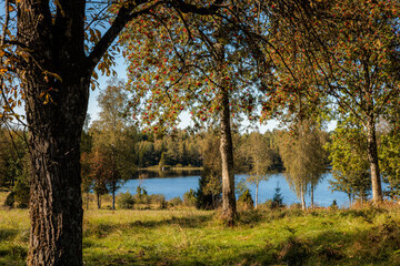 Fototapeta premium autumn trees in the lake