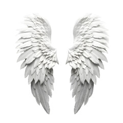 angel wings isolated on white
