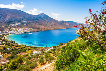 Tropical plants in Aigiali sea bay with mountains in distance, Amorgos island, Cyclades, Greece