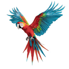 Obraz premium Scarlet Macaw Parrot Tropical Bird Wildlife Nature Colorful Plumage Rainforest Jungle Exotic Animal Ornithology Wings Spread Flight Freedom Vibrant Red Blue Green Feathers Palm Leaves Foliage White