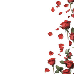 Red roses and petals on white background floral composition flat lay minimal style wedding invitation birthday Mothers Day Valentines Day greeting card romantic love design copy space hero header