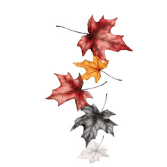 Fototapeta premium Autumn leaves falling colorful foliage seasonal change nature background orange red yellow gray maple leaves watercolor painting thanksgiving decoration fall foliage banner wallpaper design element