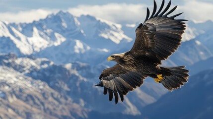 Fototapeta premium majestic eagle soaring above a mountain range