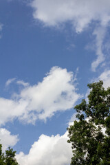 Obraz premium White Clouds in Blue Sky