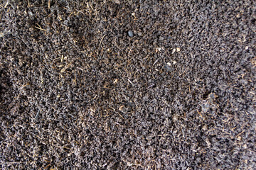 Fertile Agricultural Land Surface Texture in Asia