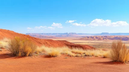 Fototapeten Australian outback landscape, northern territory in the light of a sun. Travel banner. Desert scene and blue sky background with copy space. Endless adventure concept © Olga