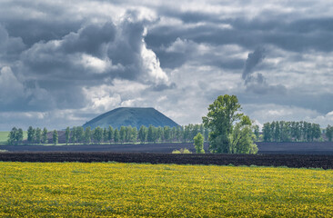Plowed field and meadow with yellow dandelions against the backdrop of a lonely mountain. Anxious...