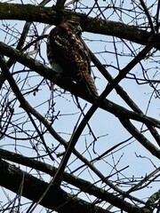 bird on tree