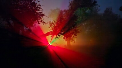 Obraz premium spooky colored light in a foggy mountain forest at night