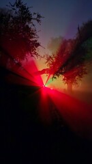 spooky colored light in a foggy mountain forest at night