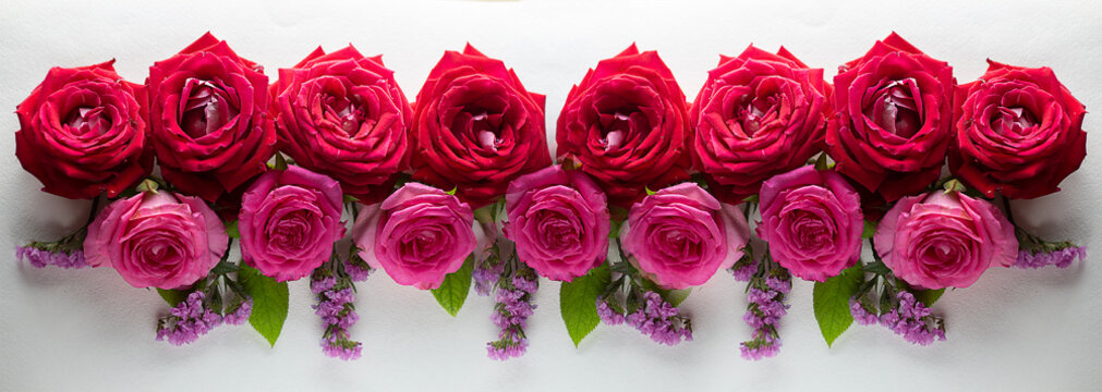 composition of fresh flowers on a white background. Banner