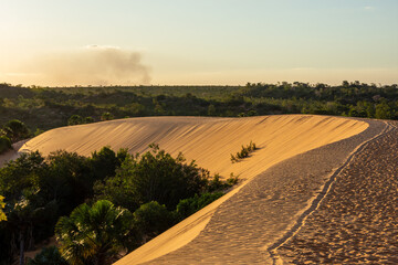Fototapeta premium View of Dunas do Jalapão (Jalapão Dunes) at Jalapão State Park, by the sunset - Tocantins, Brazil