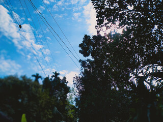 Tropical blue sky with white clouds and tree in the foreground