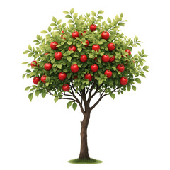 Apple fruit tree isolated on a transparent background.