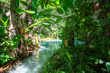 View of Fervedouro do Ceiça, a unique karst spring located at Jalapão State Park - Tocantins, Brazil